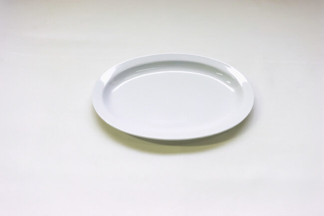 TG 9" Narrow Rim Dinner Plate White
