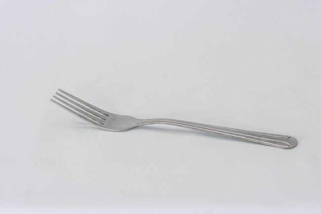 TG Domilion Dinner Fork Doz
