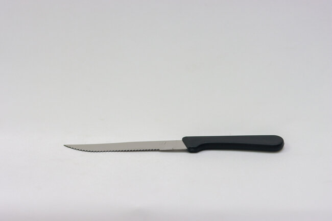 TG 4 3/4 Steak Knife Pointed Tip Plastic Handle 1Doz