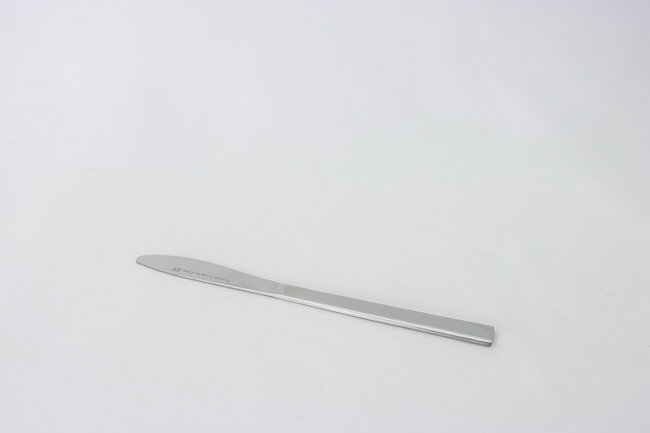 TG Winsor Dinner Knife Doz
