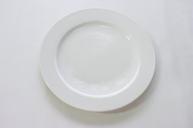 WTI Porcelana 10-1/6" R.E. Plate BW