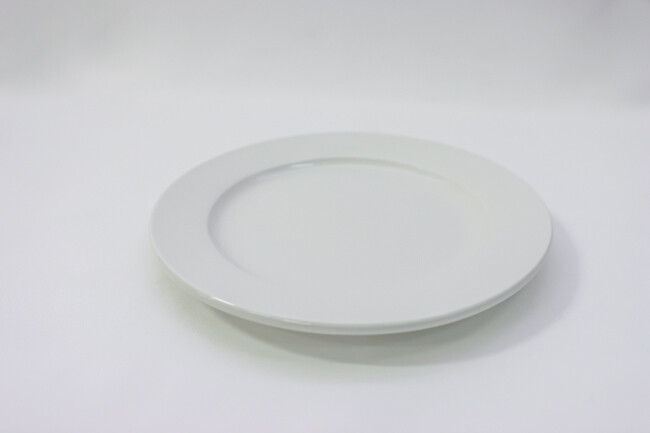 WTI 9 3/4" R.E. Plate Porcelana