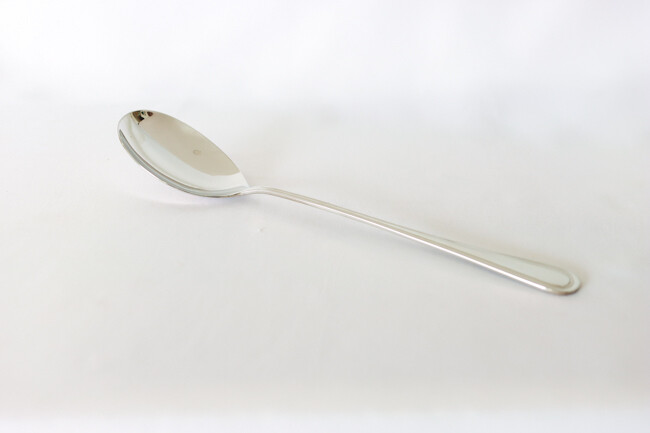 WC Shangarila Banquet 11" Solid Spoon Unit