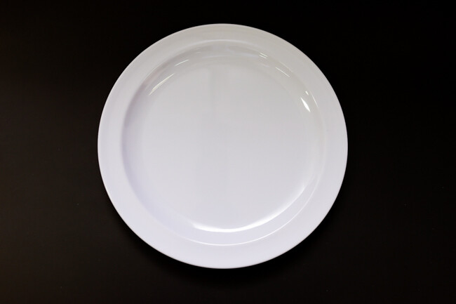 TG 8" Dinner Plate White