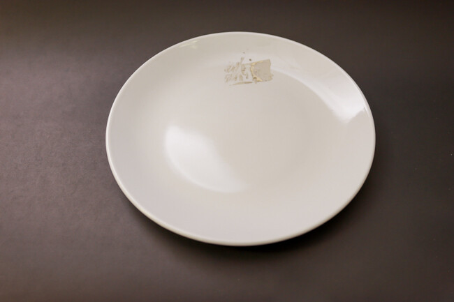 WTI Pocelana 9" Round Plate