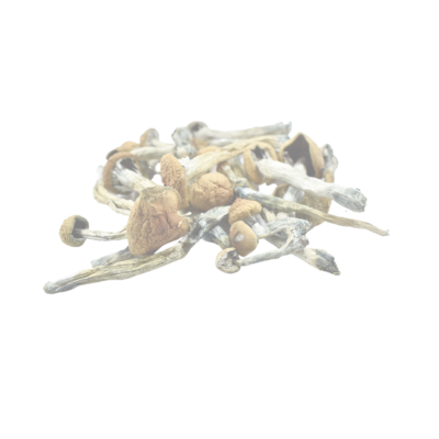 Mushrooms