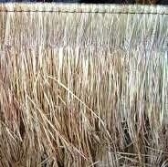Balinese Thatch 2.5m sticks
