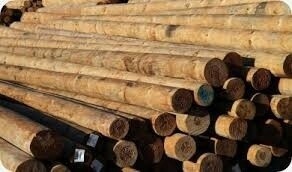 Large rounds H4 Landscaping Grade, Size: 1.8m x 175mm