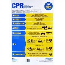 CPR Chart