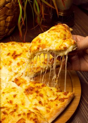 Plain Pizza