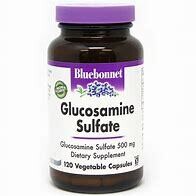 Bluebonnet GlucosamineSulfate 500mg 60 caps