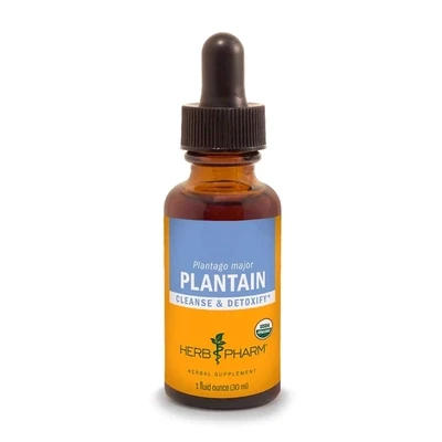 HerbPharm Plantain 1fl.oz