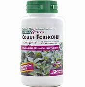NaturesPlus ColeusForksholii 125mg 60caps