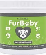 NaturesPlus FurBaby MultiVitamin 10.4oz