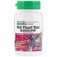 NaturesPlus RedYeastRice Gugulipid 450mg 60caps