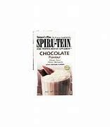 NaturesPlus Spiru-tein Chocolate Powder 0.99oz 1pk