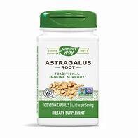 NaturesWay AstragalusRoot 100caps