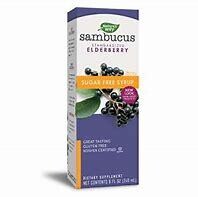 NaturesWay Elderberry SugarFree ImmuneSyrup 4fl.oz