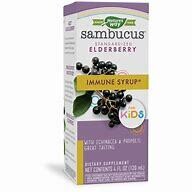 NaturesWay Kids SambucusElderberry ImmuneSyrup 4fl.oz