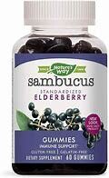NaturesWay SambucusElderberry Gummies 60ct