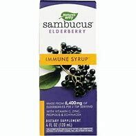 NaturesWay Sambucus ImmuneSyrup 4fl.oz
