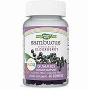 NaturesWay Kids SambucusElderberry Gummies 40ct
