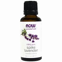 NOW Lavender(Spike) Oil 1fl.oz