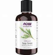 NOW TeaTree Oil 2fl.oz