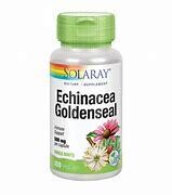 SolaRay Echinacea&amp;Goldenseal 500mg 100caps