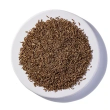 Starwest CarawaySeedJar 2oz