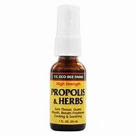 YSBee PropolisHerbs ThroatSpray 1oz