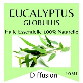 Huile essentielle eucalyptus