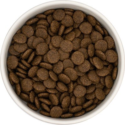 Grain Free  Adult Hunde Angus-Rind mit Süßkartoffel &amp; Karotte