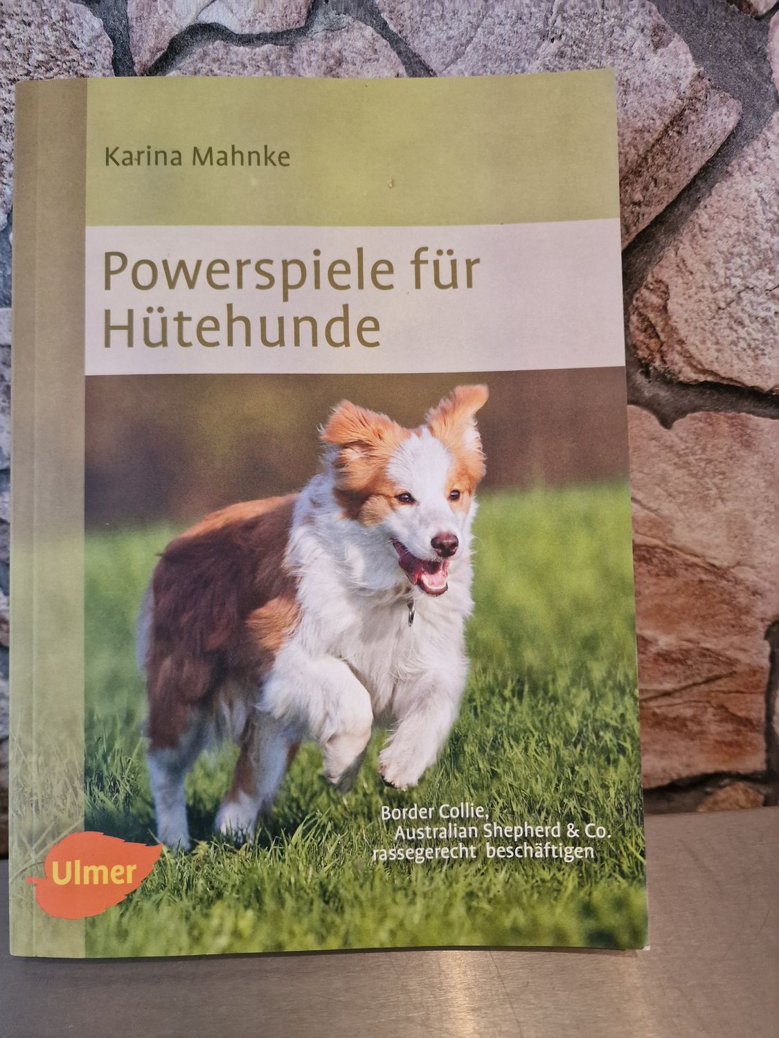 Powerspiele für Hütehunde: Border Collie, Australian Shepherd &amp; Co. rassegerecht beschäftigen
