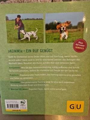 Rückruf-Training für Hunde: So gelingt es Schritt für Schritt
