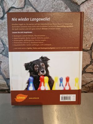 Hundespiele für zu Hause