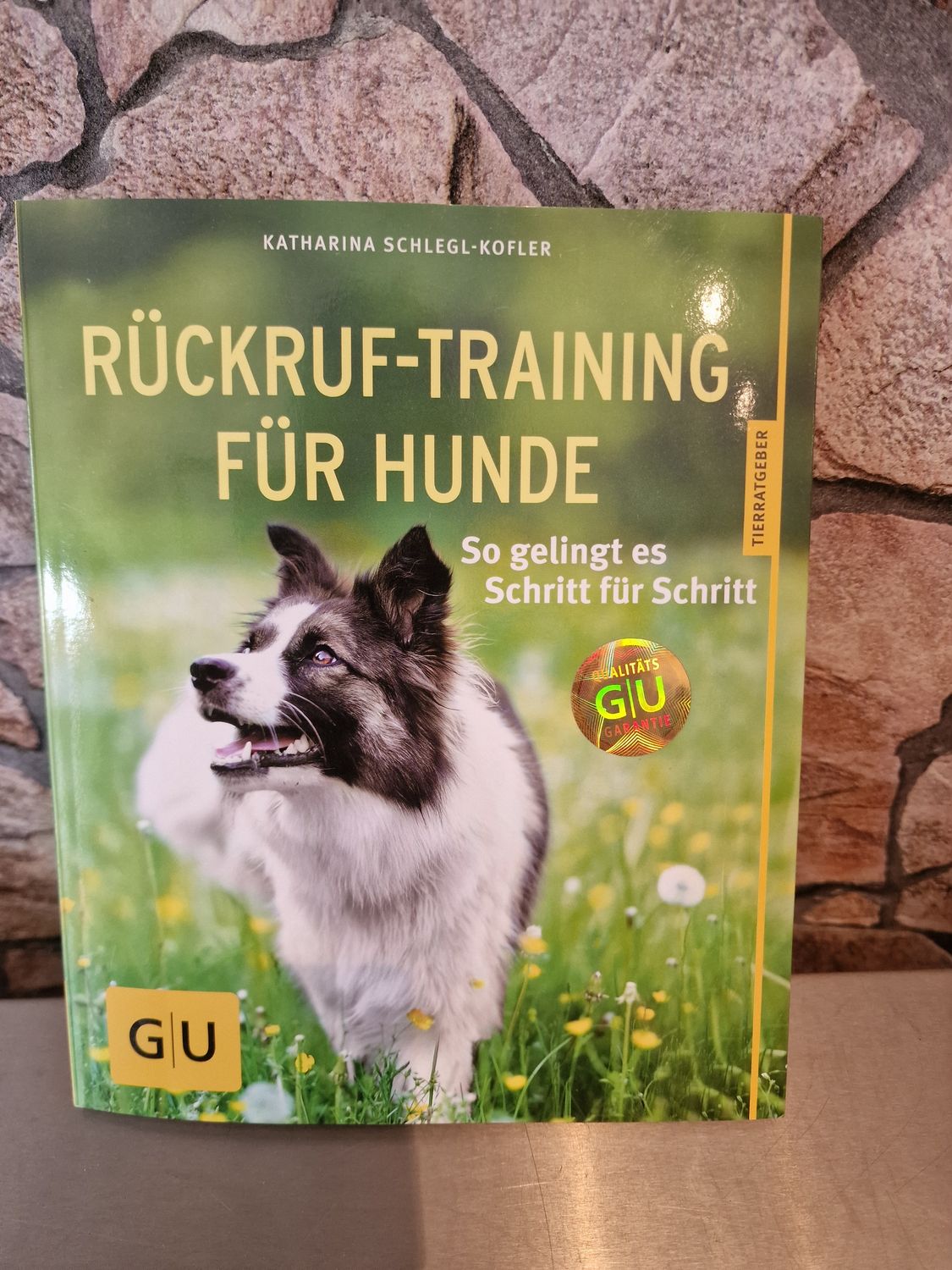 Rückruf-Training für Hunde: So gelingt es Schritt für Schritt