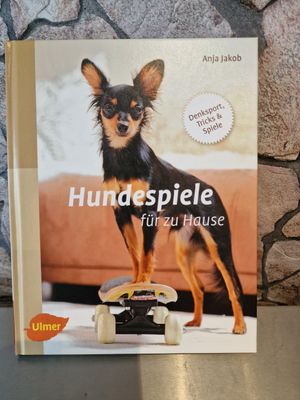Hundespiele für zu Hause