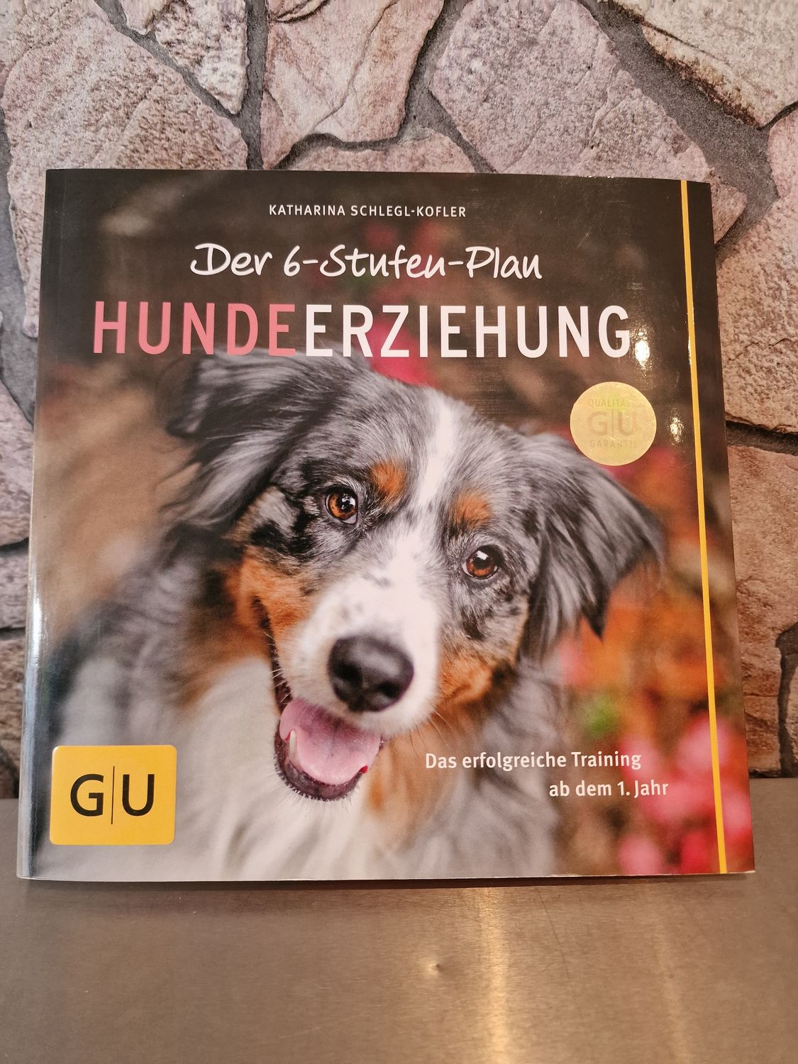 Der 6-Stufen-Plan Hundeerziehung: Das erfolgreiche Training