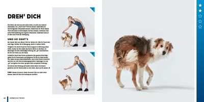 Super Dogs Tricks Hundetricks Step by Step