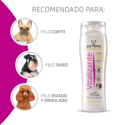 Artero Vitalisierendes Shampoo 250 ml