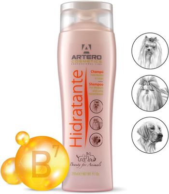 Artero Feuchtigkeitsspendendes Shampoo 250 ml