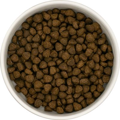 Superfood 65 Welpen Angus-Rind mit Karotte