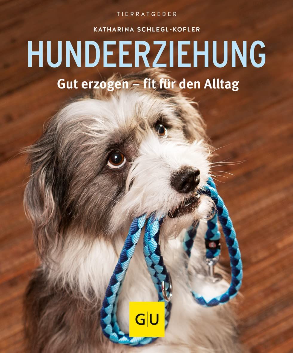 Hundeerziehung, gut erzogen - fit für den Alltag