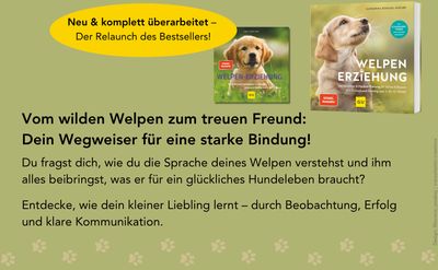 Welpen-Erziehung: Der 8-Wochen-Trainingsplan für Welpen