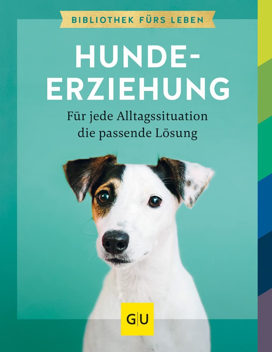 Hundeerziehung: Für jede Alltagssituation die passende Lösung