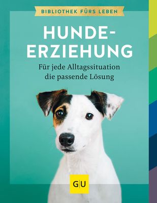 Hundeerziehung: Für jede Alltagssituation die passende Lösung