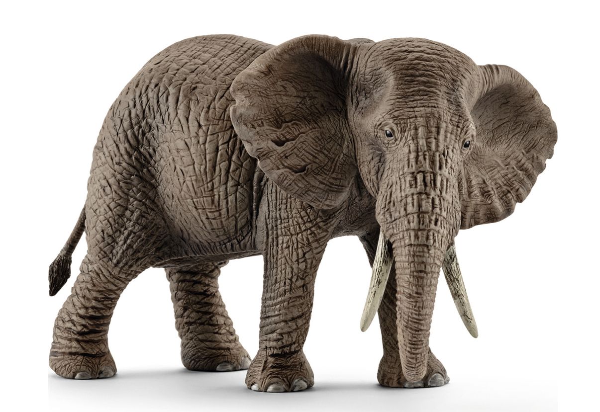 Schleich - African Elephant Female