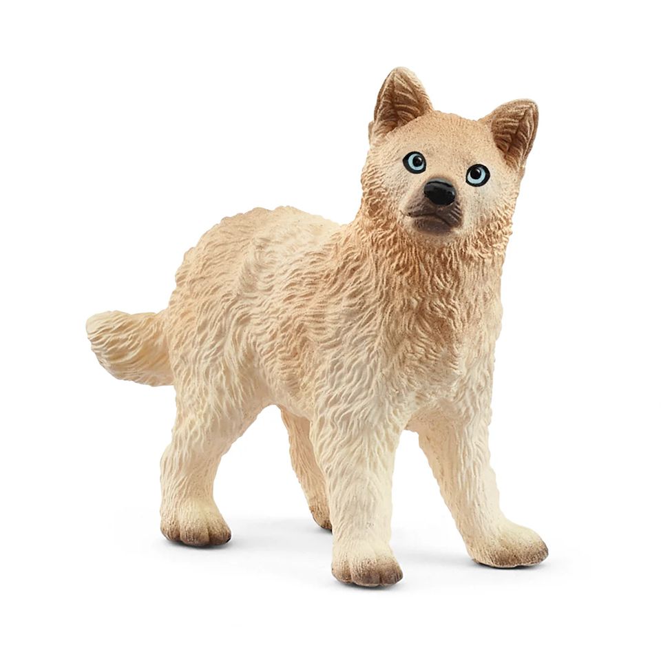 Schleich - Arctic Wolf Cub