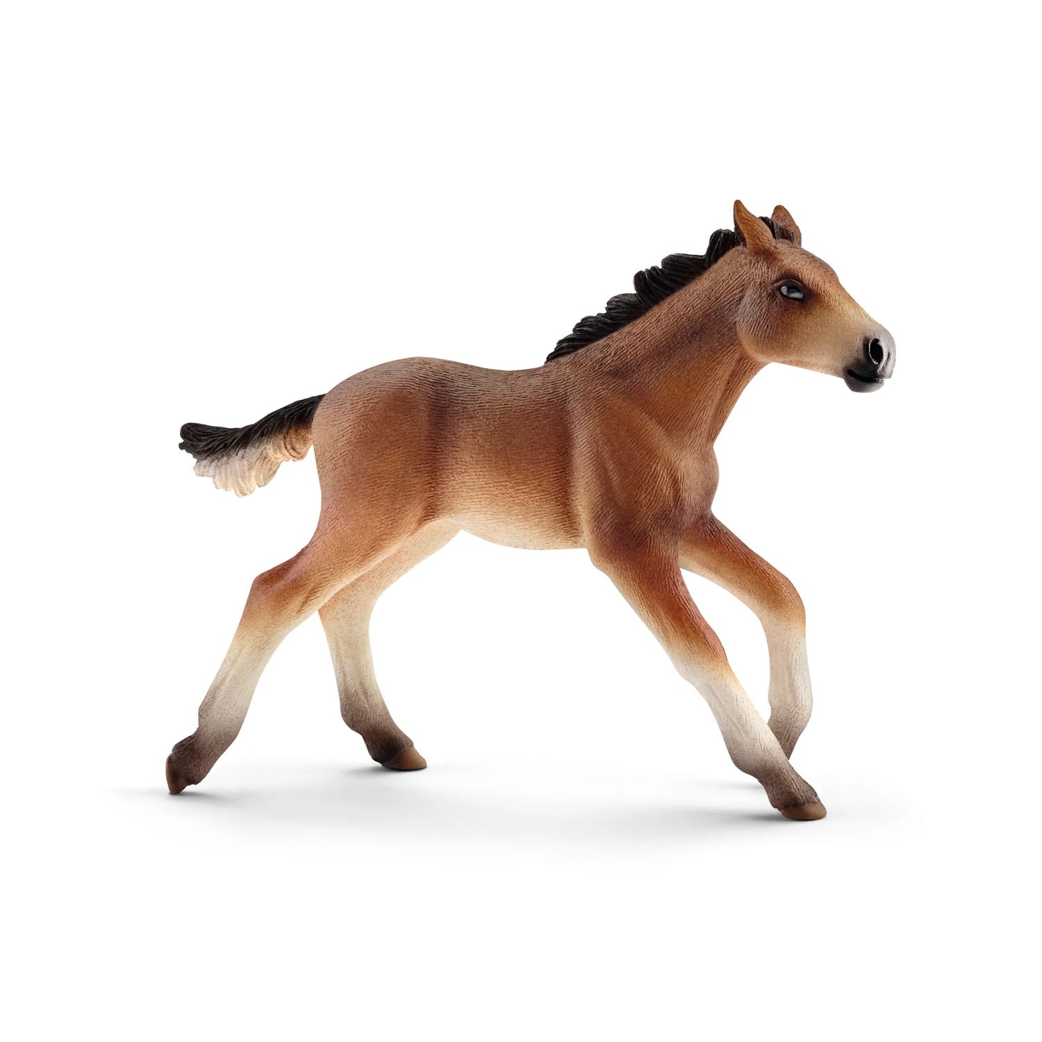 Schleich - Mustang Foal